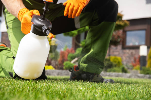 Best Best Pest Control Companies  in Lamar, MO