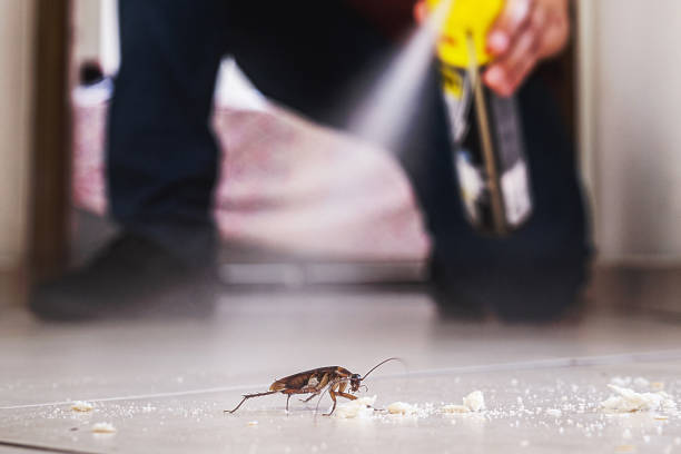 Best Best Pest Control Companies  in Lamar, MO