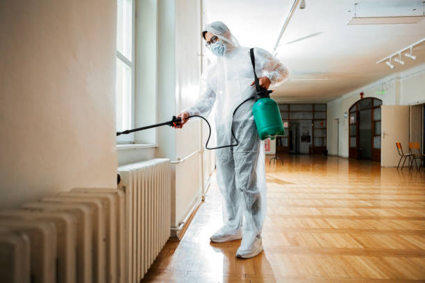 Best Ant Control Services  in Lamar, MO